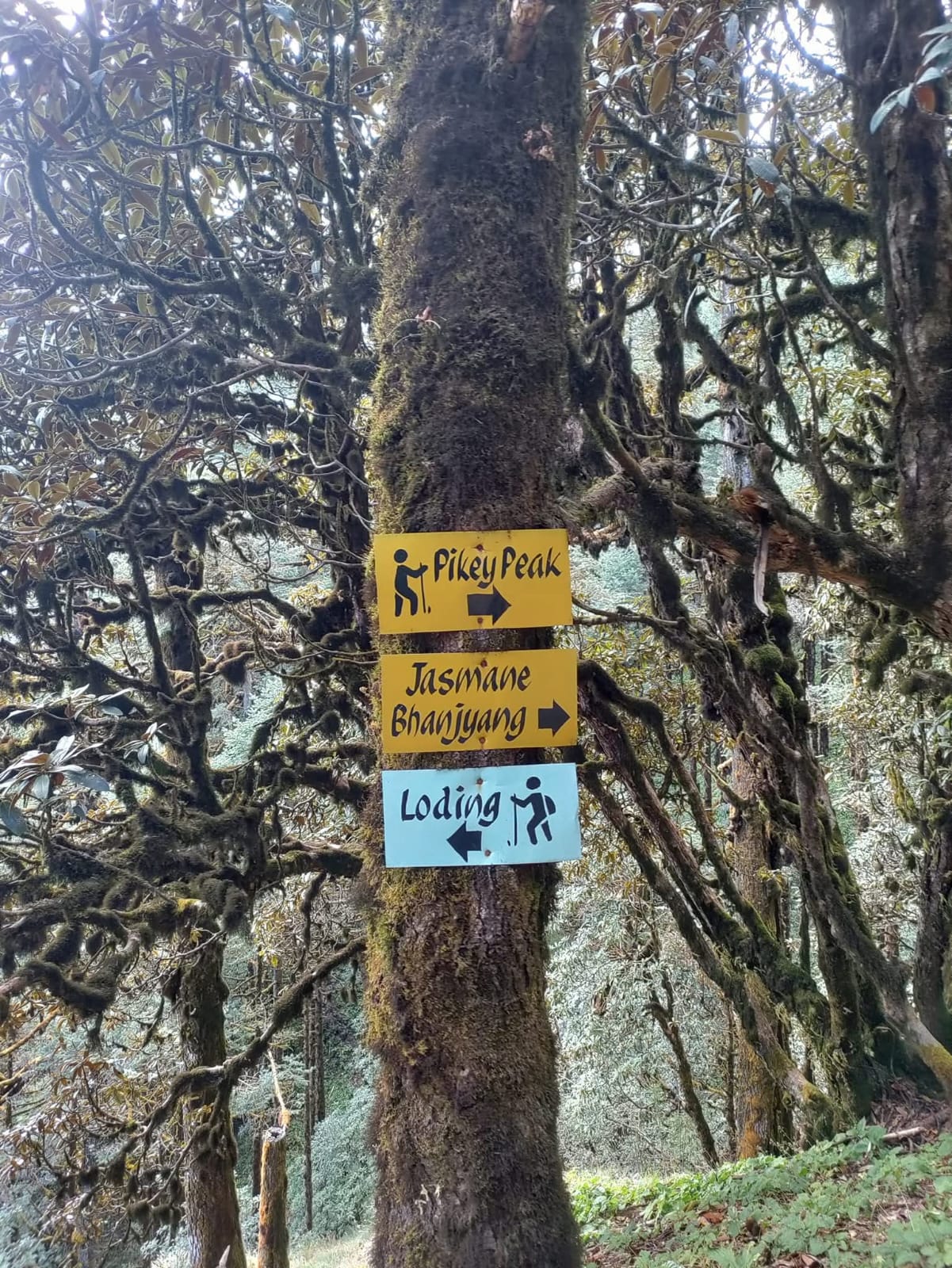 wild life through the trek