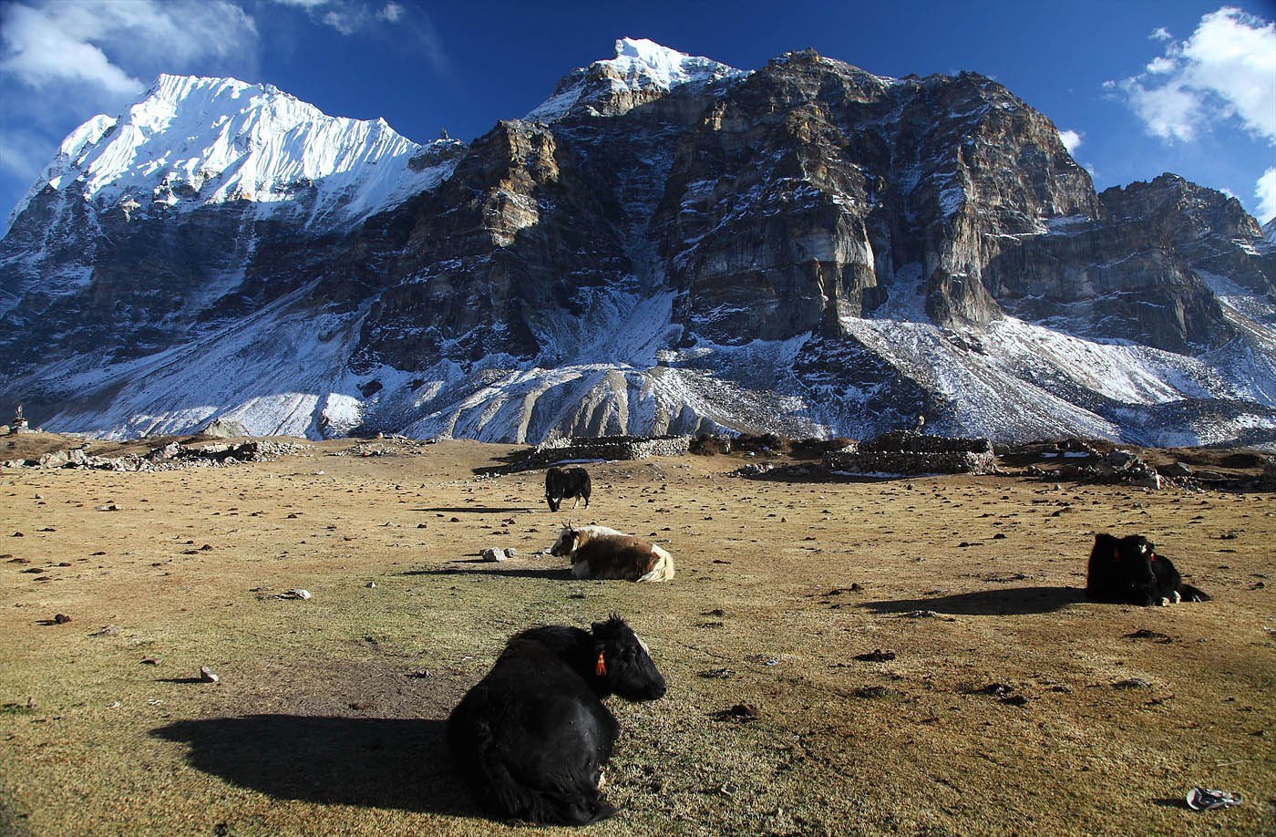 Kanchenjunga Region