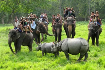 Chitwan National Park Safari