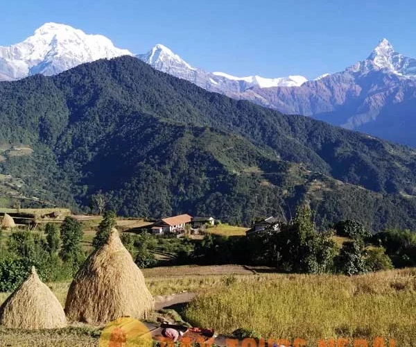 Dhampus Sarangkot Trek